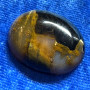 Kapussi pietersiitti  cabochon w44