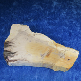 Kivettynyt puu siivu 308g Hi92A