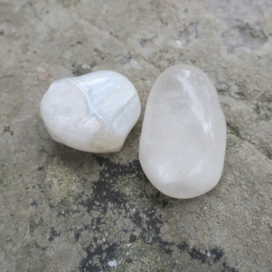 Vuorikide rumpuhiottu Brasilia. Valitse koko 2-80g