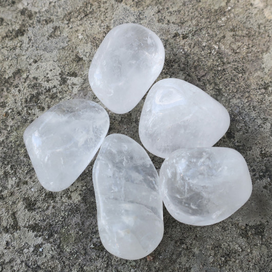 Vuorikide rumpuhiottu Brasilia. Valitse koko 2-80g