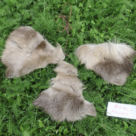 Porontaljan 3 palaa bikineiden tekoa varten.