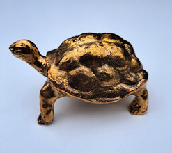 Kilpikonna - pieni maakilpikonna