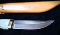 Kotkapuukko
