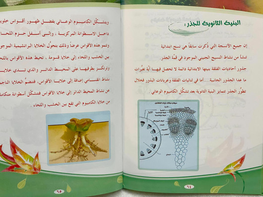 Modern Encyclopedia of Plant Sciences