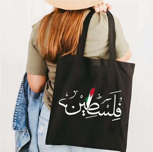 حقيبة 