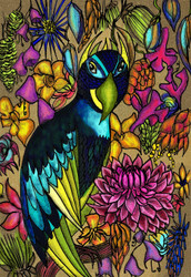 Papukaija -taidepostikortti