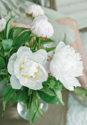 LISÄPALVELU: Kynsien lakkaus & valitsemasi kynsilakka mukaan