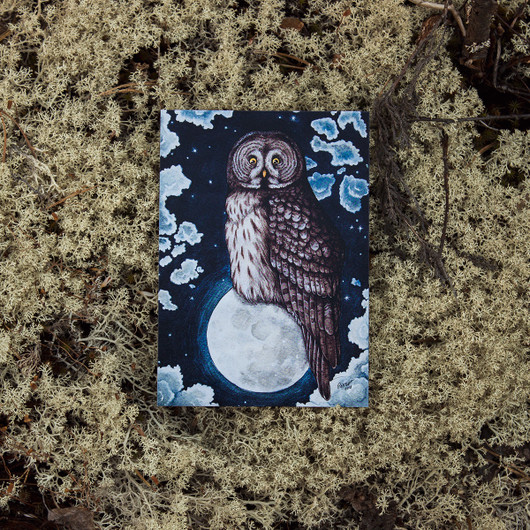 Oksi - Owl