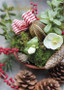 Christmas joy - Christmas rose and pine cones