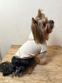 Haven Dog Hoodie | Nest collection - 2025