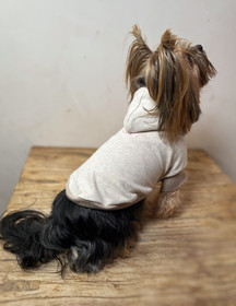 Haven Dog Hoodie | Nest collection - 2025