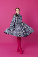 DISHY- MEKKO, SININEN ZEBRA
