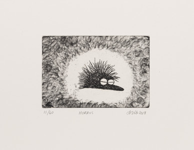 HORROS -grafiikkavedos