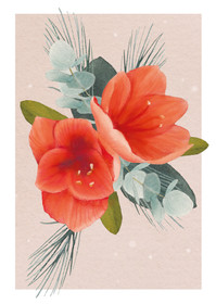 Joulukortti amaryllis