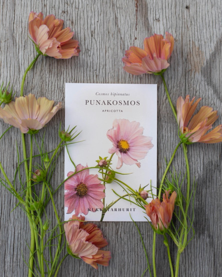 Punakosmos