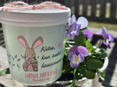 Vanilja Fudge kiitos kun autat kasvamaan