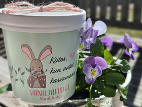 Vanilja Fudge kiitos kun autat kasvamaan