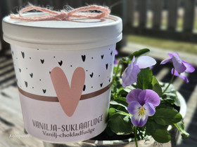 Vanilja-suklaa fudge 