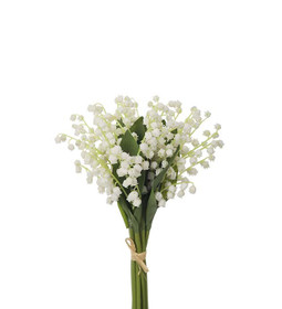 Kielokimppu 2 (nipussa 10 oksaa) 