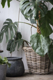 Rottinkikori istutuksille