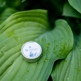 Auringonkukka huulivoide