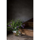 Ernst maljakko kuplalasia