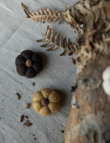 Huopakurpitsa tummanruskea