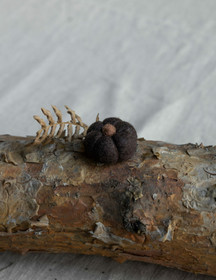 Huopakurpitsa tummanruskea