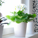 Sydänruukku haalea roosa