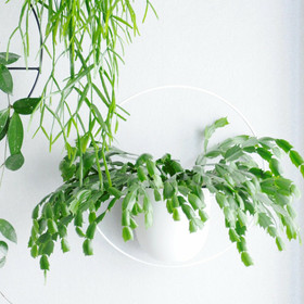 Metallinen seinäamppeli valkoinen