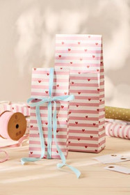 Lahjapussi sydämet(pieni)