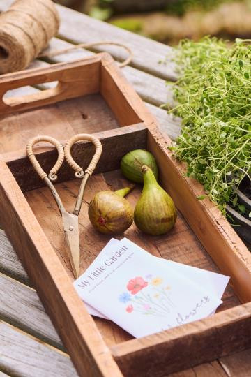 Sakset(rottinkikahvoilla)