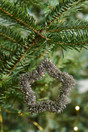 Tähtikoriste(hopea)