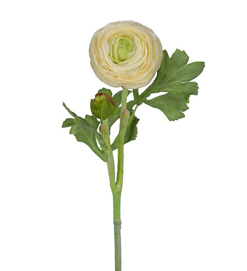 Leinikki (valkoinen)