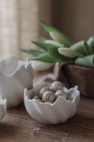 Munankuorikulho(keskikoko)