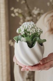 Munankuorikulho (iso)