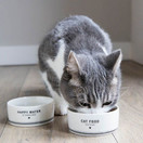 Kissanruokakuppi (2mallia)