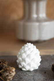 Berghamn käpy (pieni)