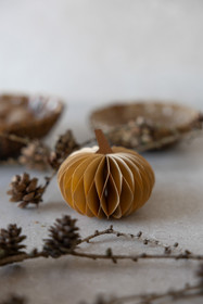 Lundhagen paperikoristekurpitsa 3 väriä