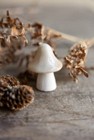 Bosten keramiikkasieni 2 väriä