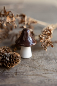 Bosten keramiikkasieni 2 väriä