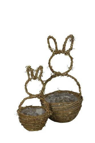 Pajukori pupu 2 kokoa