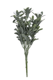 Mistelioksa