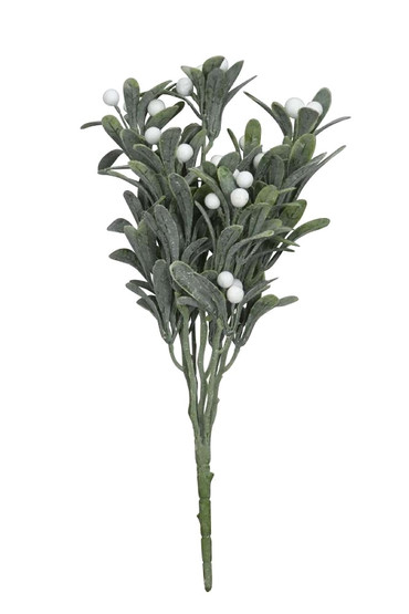 Mistelioksa