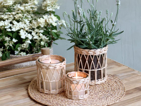 Rottinkilyhty lasilla