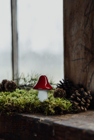 Keramiikkasieni Bosten (punahattu)