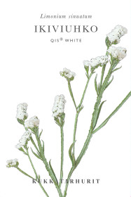 Ikiviuhko (valkoinen)