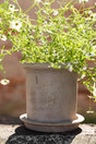 Saviruukku (pieni)