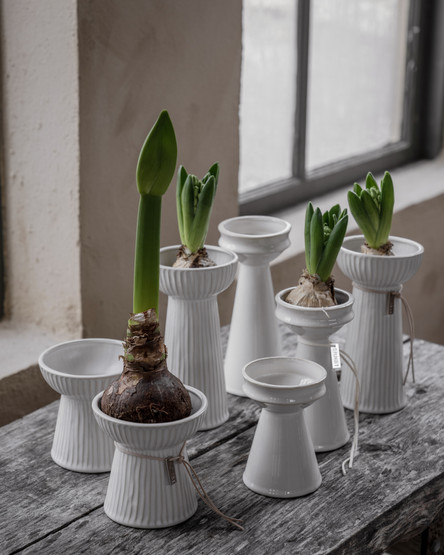 Hyasinttivaasi valkoinen(korkea)