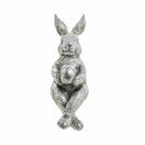 Pupu ja pääsiäismuna (hopea)